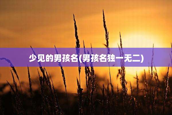 少见的男孩名(男孩名独一无二)