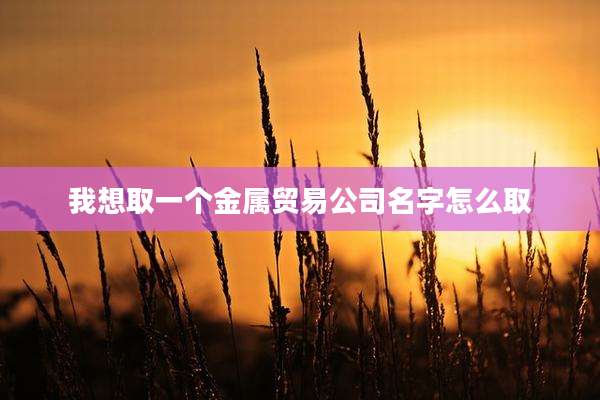 我想取一个金属贸易公司名字怎么取