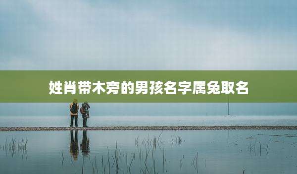 姓肖带木旁的男孩名字属兔取名