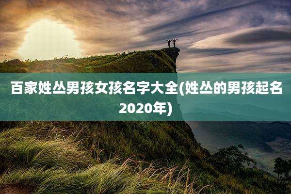 百家姓丛男孩女孩名字大全(姓丛的男孩起名2020年)