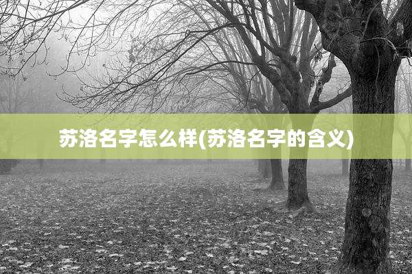 苏洛名字怎么样(苏洛名字的含义)