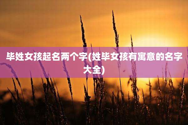 毕姓女孩起名两个字(姓毕女孩有寓意的名字大全)