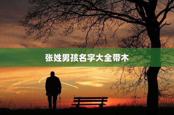 张姓男孩名字大全带木