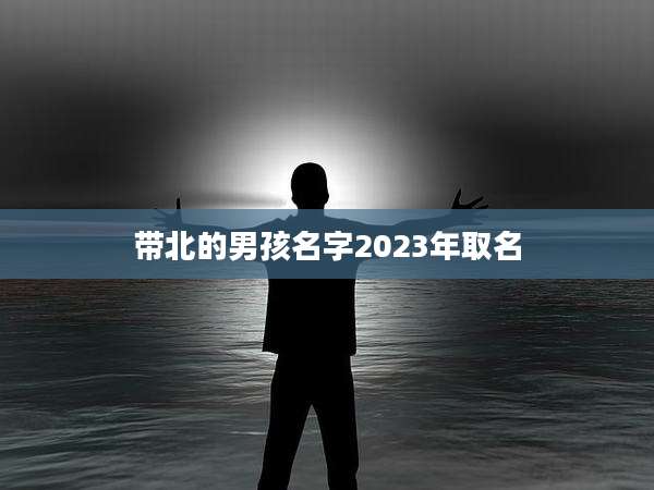 带北的男孩名字2023年取名
