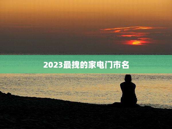 2023最拽的家电门市名