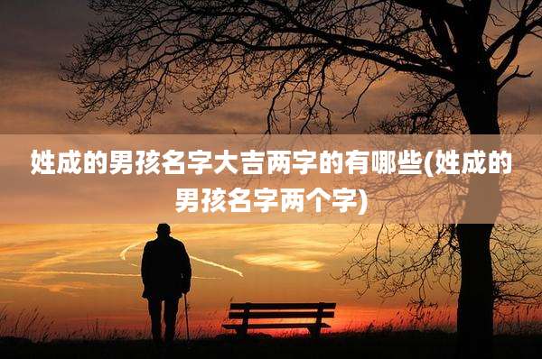 姓成的男孩名字大吉两字的有哪些(姓成的男孩名字两个字)