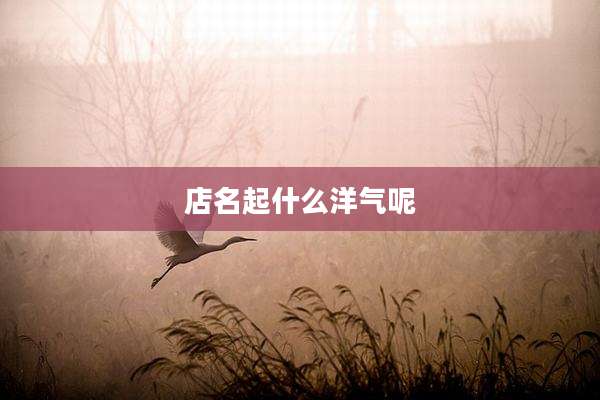 店名起什么洋气呢