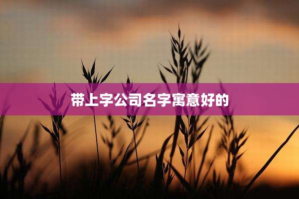 带上字公司名字寓意好的