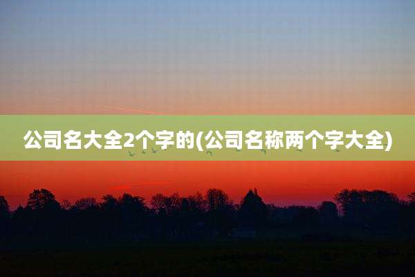 公司名大全2个字的(公司名称两个字大全)