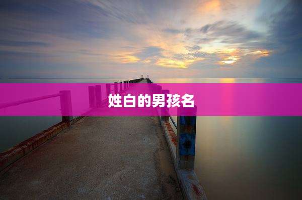 姓白的男孩名