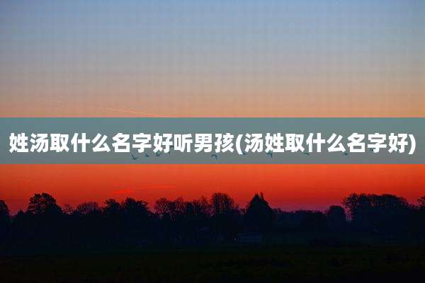 姓汤取什么名字好听男孩(汤姓取什么名字好)