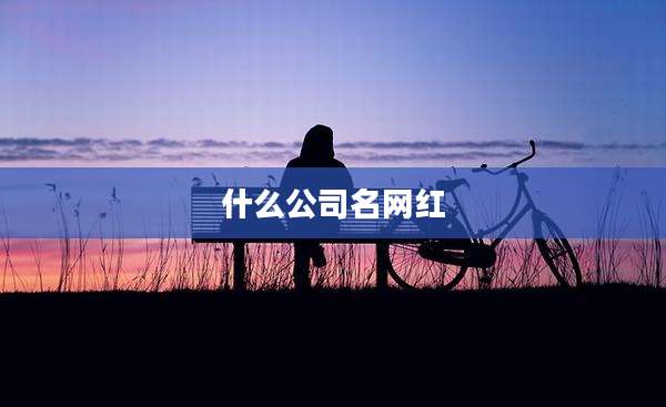 什么公司名网红