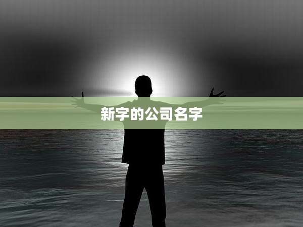新字的公司名字