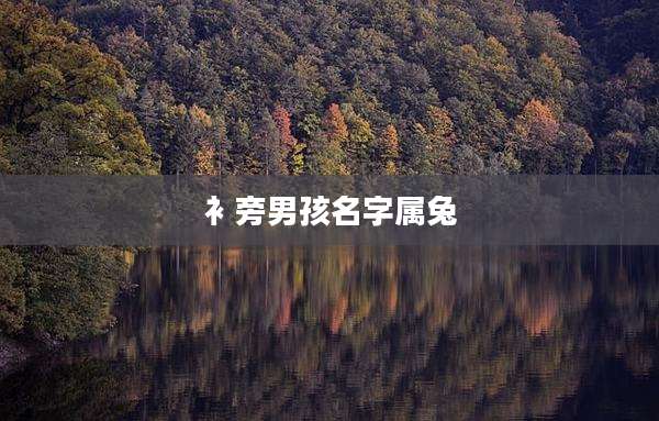 衤旁男孩名字属兔