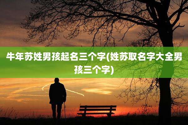 牛年苏姓男孩起名三个字(姓苏取名字大全男孩三个字)