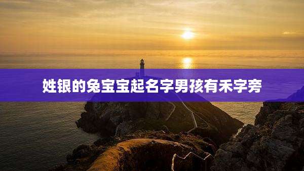 姓银的兔宝宝起名字男孩有禾字旁