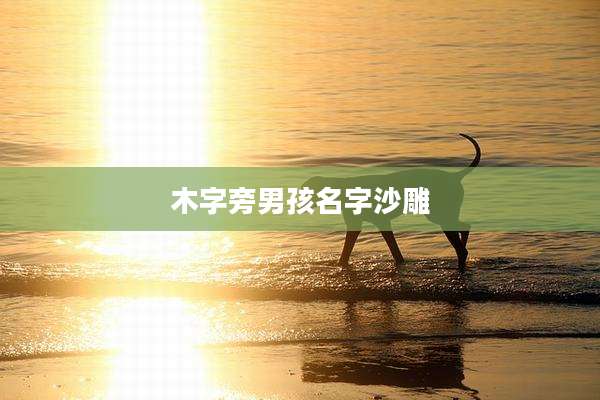 木字旁男孩名字沙雕