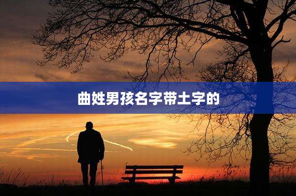 曲姓男孩名字带土字的