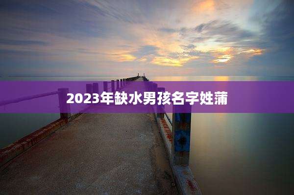 2023年缺水男孩名字姓蒲