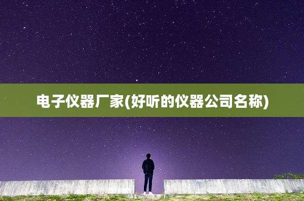 电子仪器厂家(好听的仪器公司名称)