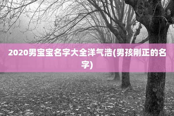 2020男宝宝名字大全洋气浩(男孩刚正的名字)