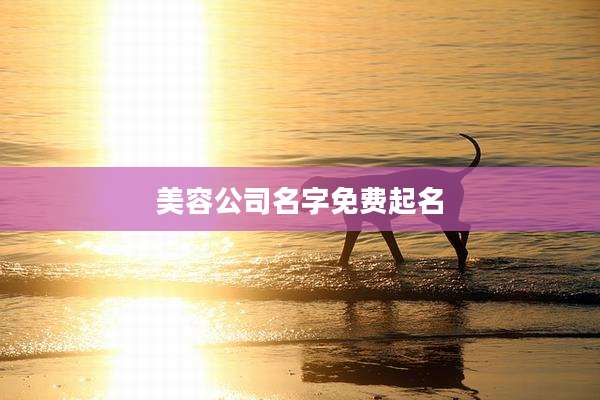 美容公司名字免费起名