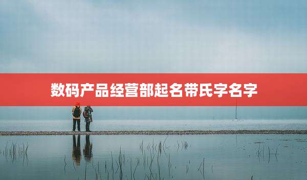 数码产品经营部起名带氏字名字