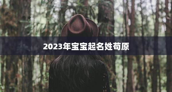 2023年宝宝起名姓苟原