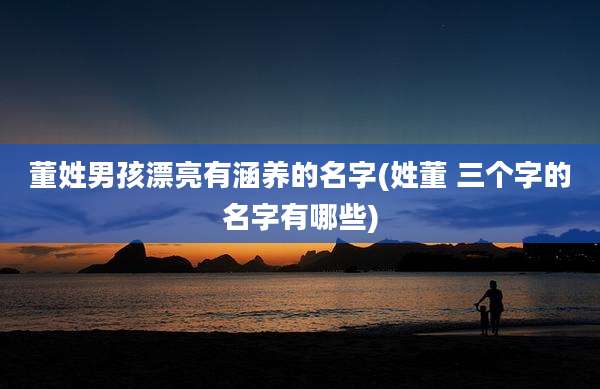 董姓男孩漂亮有涵养的名字(姓董 三个字的名字有哪些)