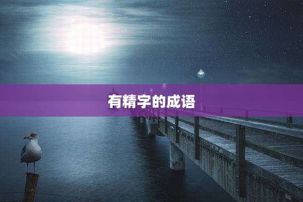 有精字的成语