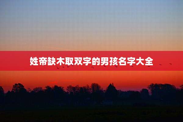 姓帝缺木取双字的男孩名字大全