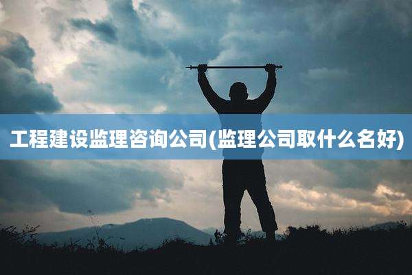 工程建设监理咨询公司(监理公司取什么名好)
