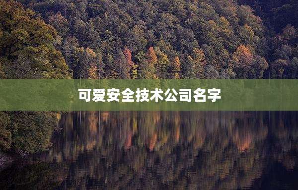 可爱安全技术公司名字