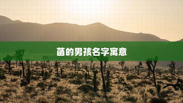 菡的男孩名字寓意