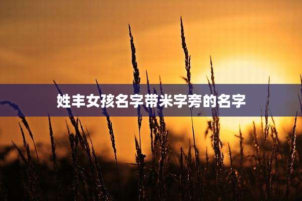 姓丰女孩名字带米字旁的名字