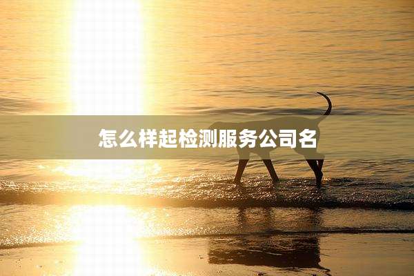 怎么样起检测服务公司名