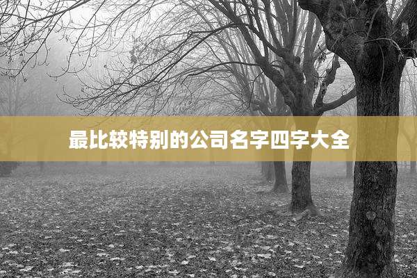 最比较特别的公司名字四字大全
