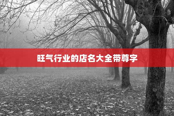 旺气行业的店名大全带尊字