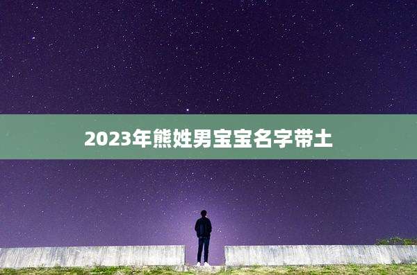 2023年熊姓男宝宝名字带土