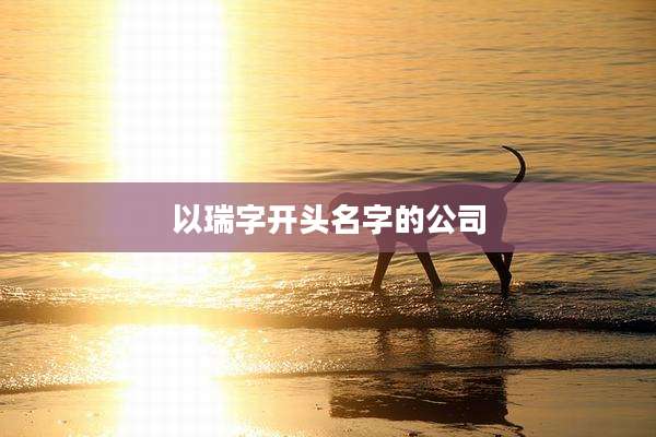 以瑞字开头名字的公司