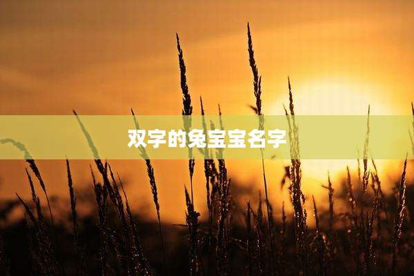 双字的兔宝宝名字