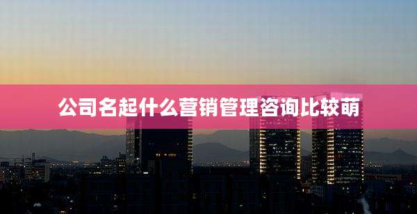 公司名起什么营销管理咨询比较萌