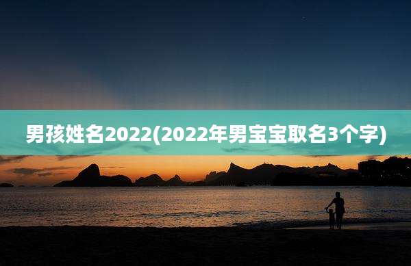 男孩姓名2022(2022年男宝宝取名3个字)