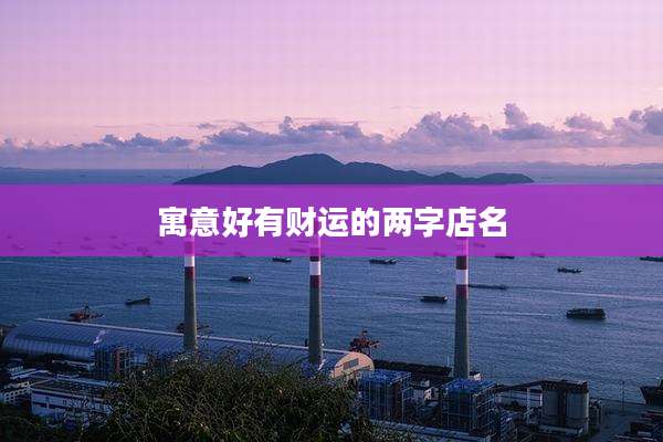 寓意好有财运的两字店名