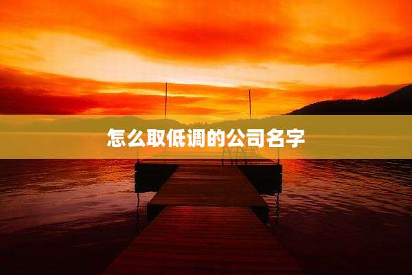 怎么取低调的公司名字