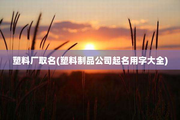 塑料厂取名(塑料制品公司起名用字大全)