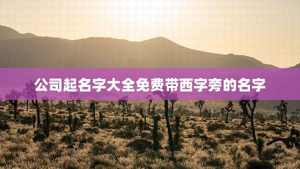 公司起名字大全免费带西字旁的名字