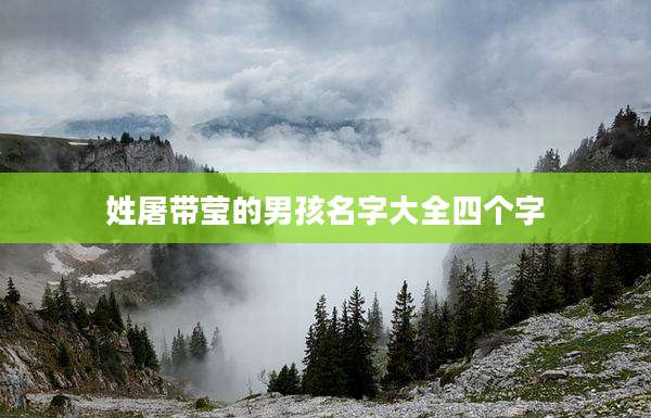 姓屠带莹的男孩名字大全四个字