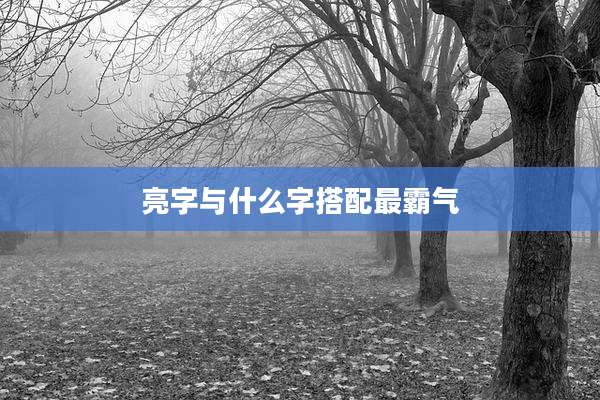 亮字与什么字搭配最霸气