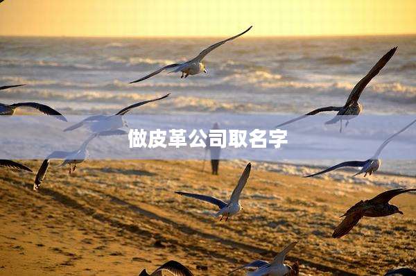 做皮革公司取名字